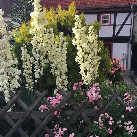 Gesindehaus Nyaraló Börnecke