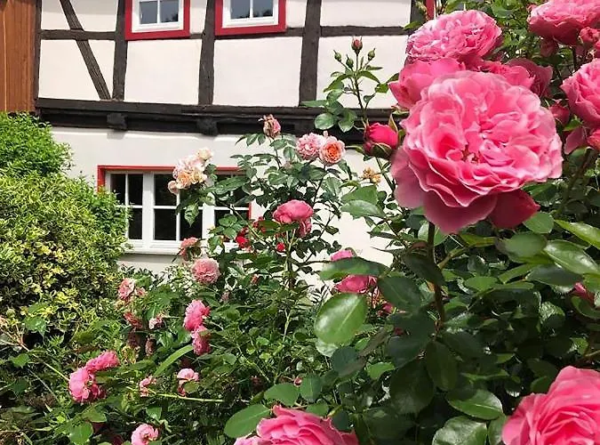 別荘 Gesindehaus *