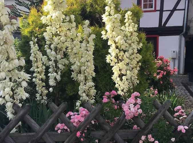 Gesindehaus 펜션 Bornecke